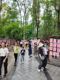 成都人民公園 | 慢享蓉城煙火氣。