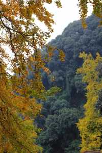 大邑白岩寺。