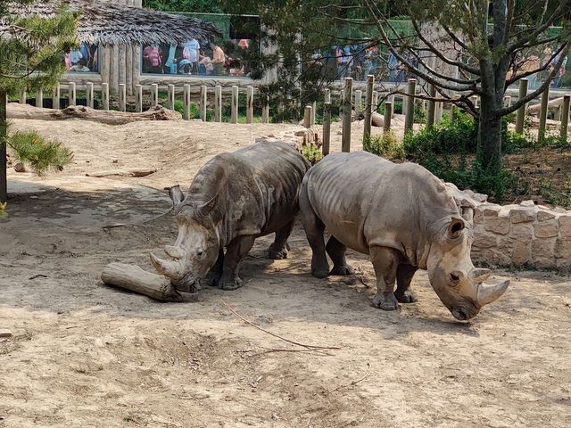 【城市綠洲】北京動物園，家庭親子遊的樂園