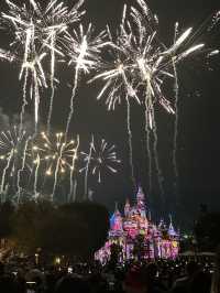 🎄｜California Disneyland Christmas Season is Here