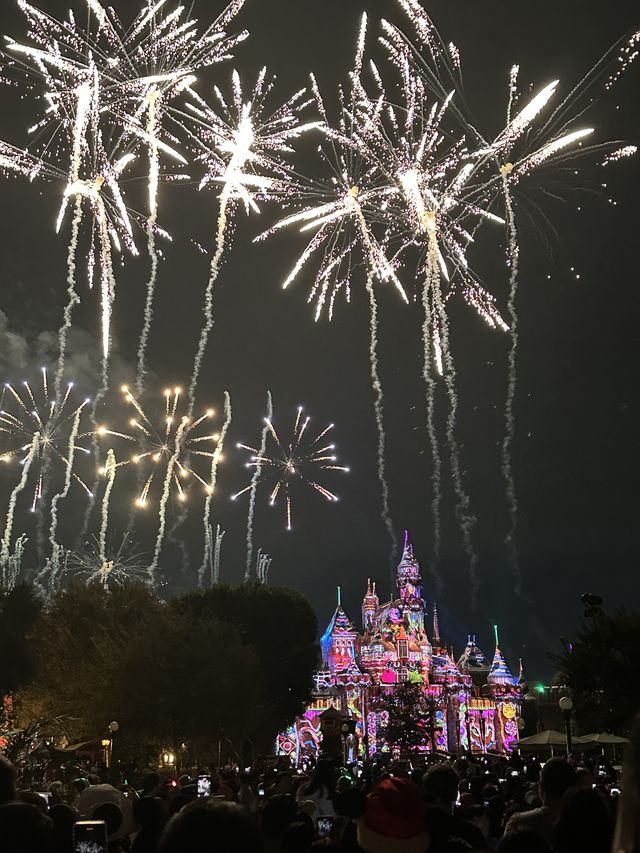 🎄｜California Disneyland Christmas Season is Here