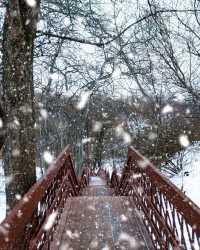 莫斯科的雪景公園