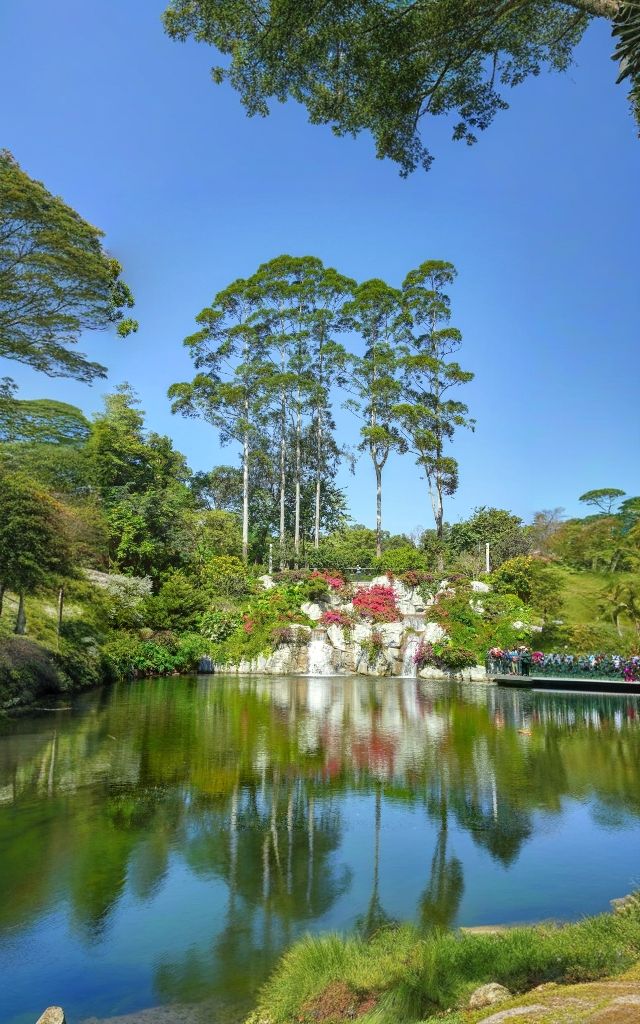 雲蘿植物園，廣州拍照打卡的頂流！