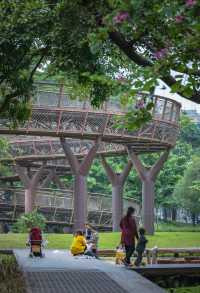 在深圳市區裡的空中樹屋棧道