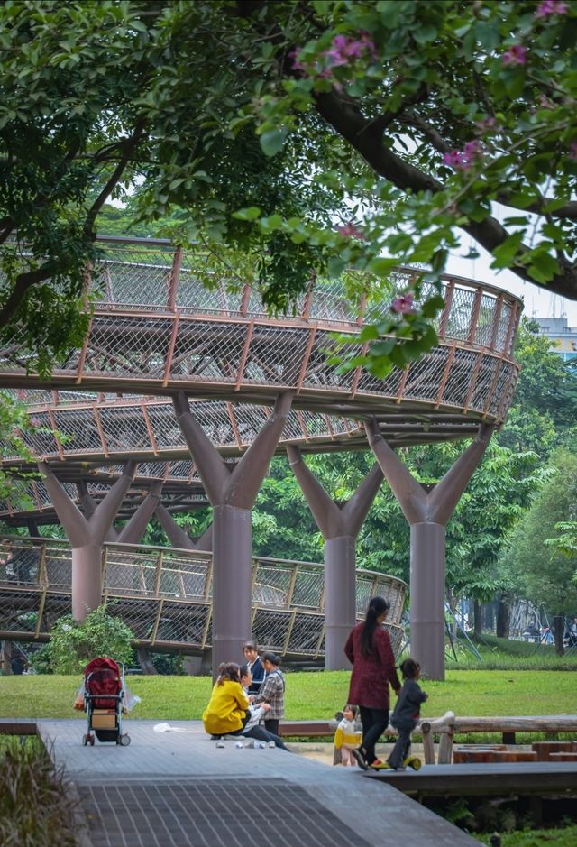 在深圳市區裡的空中樹屋棧道