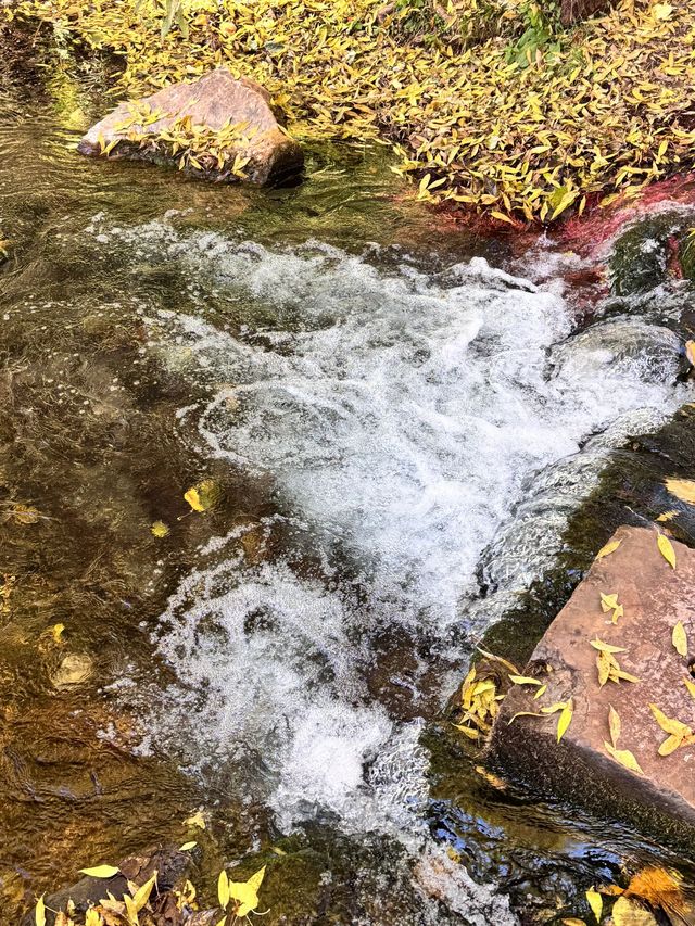 寒假要去麗江-瀘沽湖-香格里拉旅遊攻略來啦