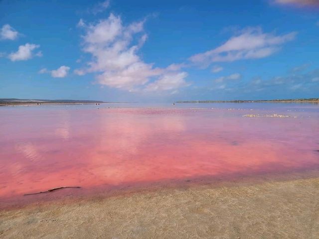 「西澳粉紅湖」27日會員日免費換貴賓室，享受機場貴賓室服務