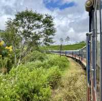 Experience the Breathtaking Journey: Kandy to Ella Train Ride! 🚂🌄 