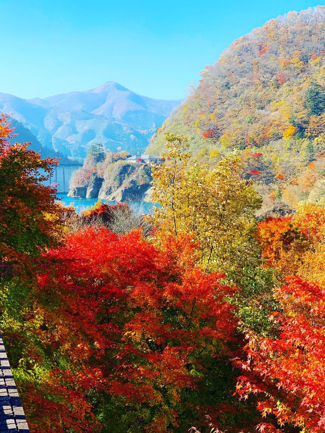 【群馬×秋】  《奥四万湖》   真っ赤な紅葉と四万ブルーの絶景