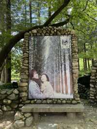 Exploring Nami Island