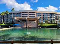 Hilton Waikoloa Village 夏威夷大島飯店首選