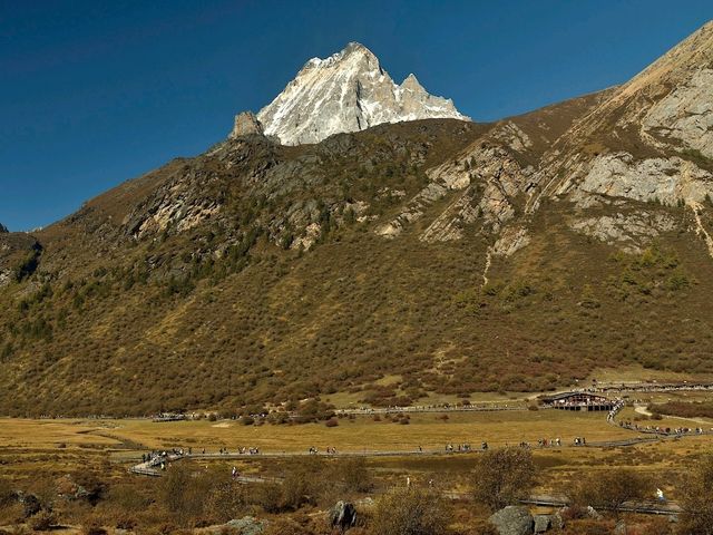 Best Autumn Viewing Experience 1/3 [Luorong Pasture, Yading Nature Reserve]