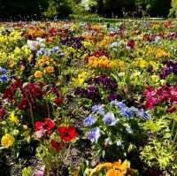 Christchurch Botanic Gardens 🌲🌴🌱🌿🍄🌹🌺🌾🌸