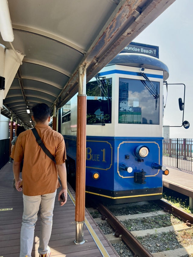 HAEUNDAE BLUE LINE PARK | YOUR COASTAL ADVENTURE AWAITS 