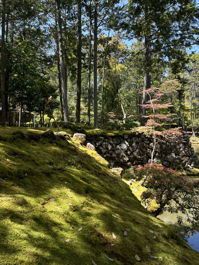 Kyoto｜ Saihōji (Kokedera) Temple, the hidden place of Kyoto