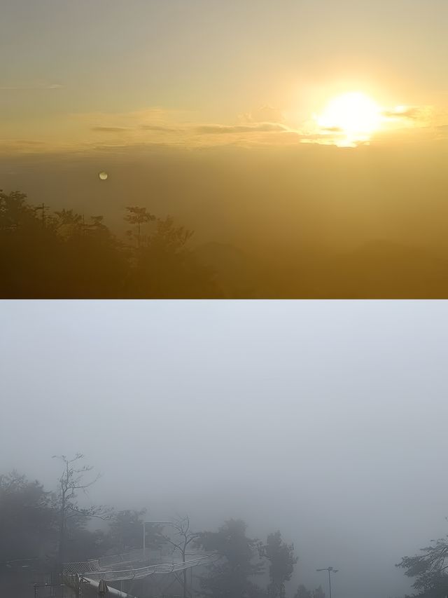 隱於天姥山谷！入住仙俠氣息濃厚的森林樹屋。