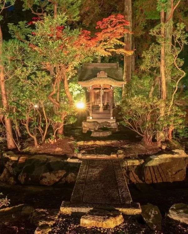 Explore Kyoto's Nighttime Autumn Foliage in 2023