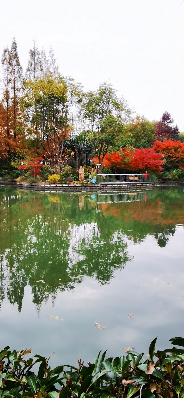 上南公園：川楊河畔的社區公園