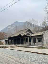 登封少林寺-龍門石窟1日遊 玩轉兩大景點不踩雷