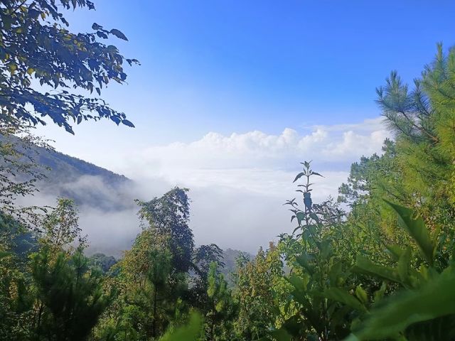 想推薦萬次的暖冬春節避世聖地：景邁山