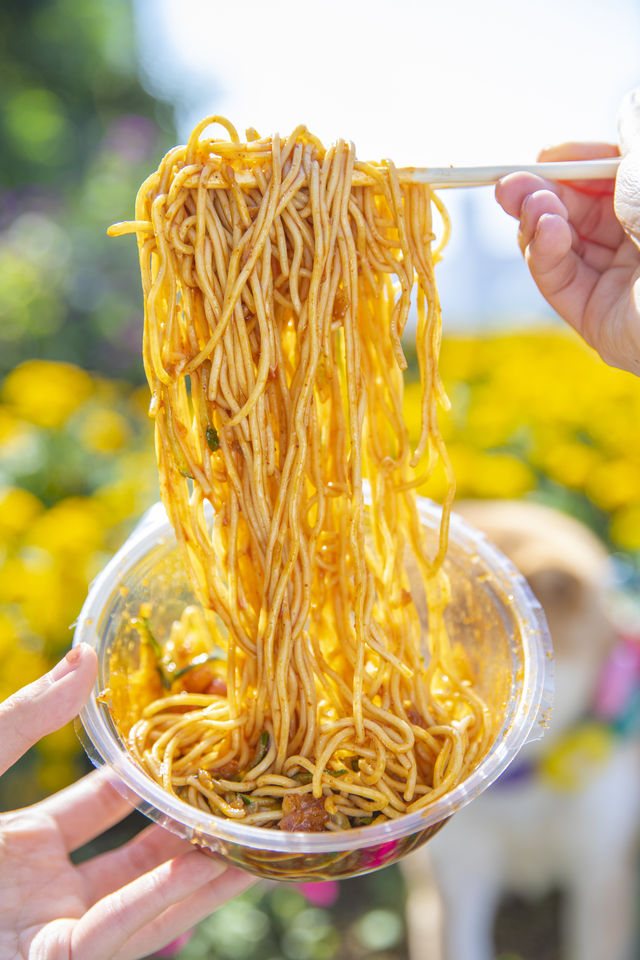 採風：摩天輪附近的美食街區—侯家塘