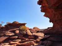 Kalbarri Natures Window! I see the world!😎🫣