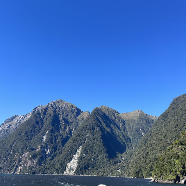 Bucket list experience done✅ Milford sound!!