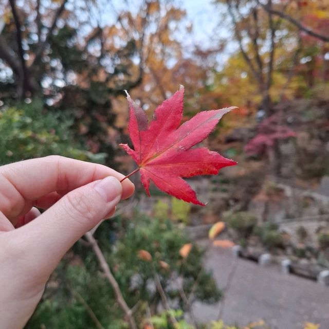 11中旬的首爾吉祥寺，令人平靜的寺廟