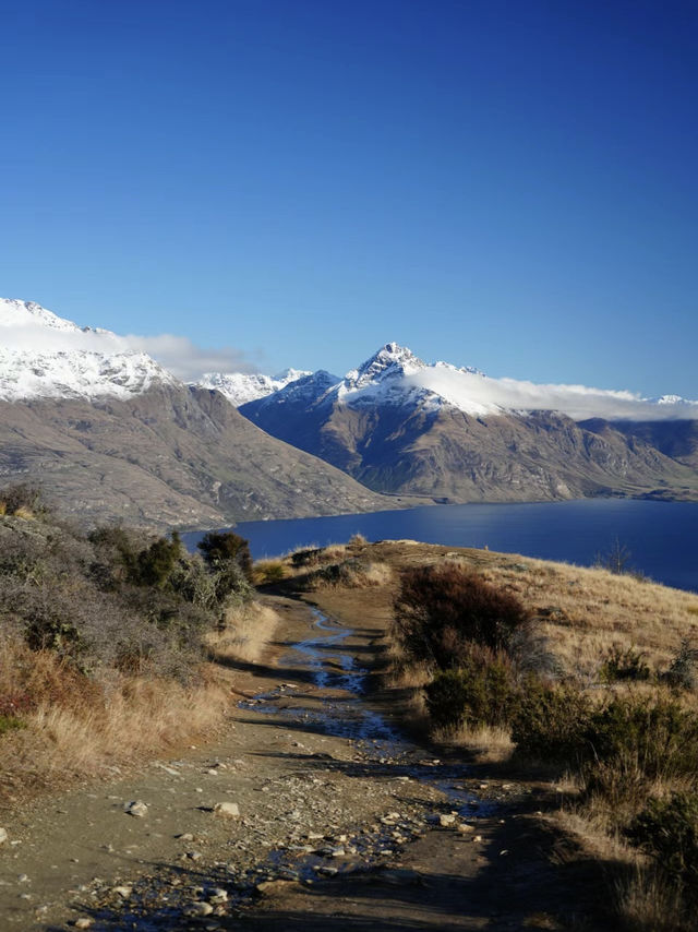 On the Move: Conquer Queenstown Hill’s Enchanted Trail