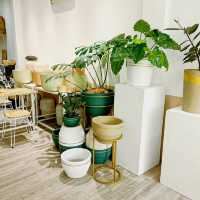 A Cozy Retreat at Shinjo Cafe Medan