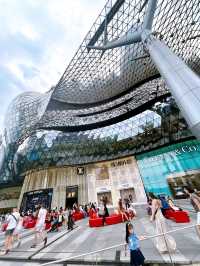 Beautiful Modern Christmas Trees on Orchard Road