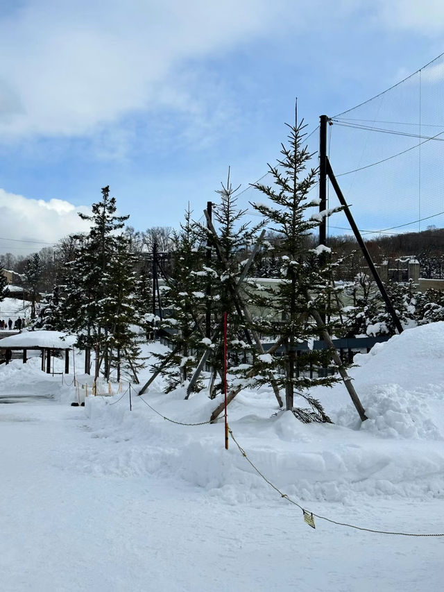 Asahiyama Zoo: A Unique Animal Experience in Hokkaido