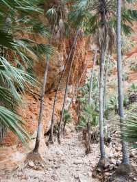 The Bungle Bungles, Australia