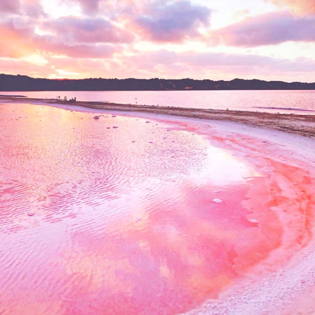 A Pink Paradise: Have You Seen the Stunning Lake Hillier in Perth??