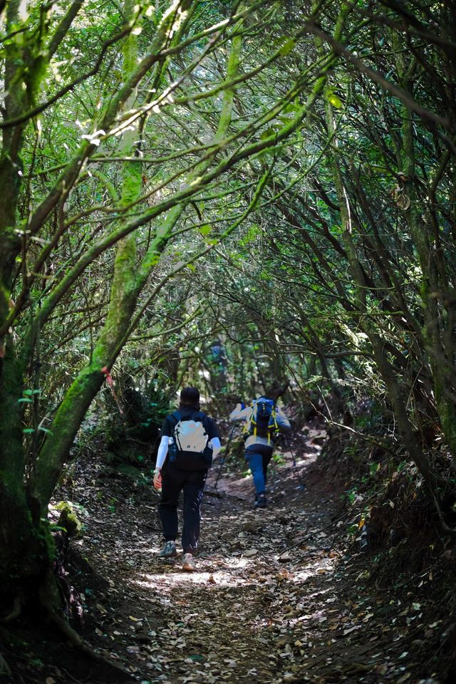 嵩明大尖山