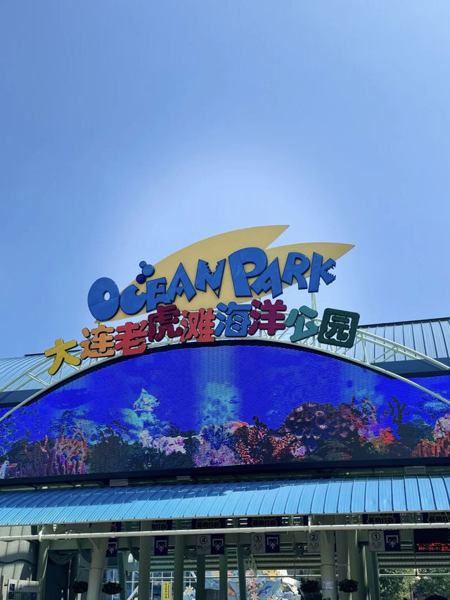 海洋奇觀，親近自然——老虎灘海洋公園的夢幻海洋之旅