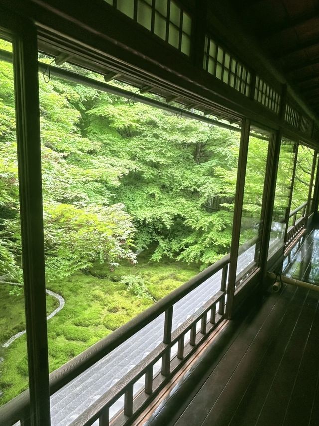 瑠璃光院：京都的隱世之美與四季流轉的禪意庭園。