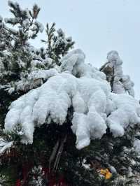 西安南五台|賞一場秦嶺初雪。