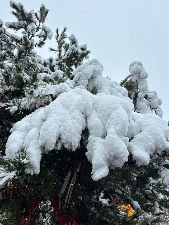 西安南五台|賞一場秦嶺初雪。