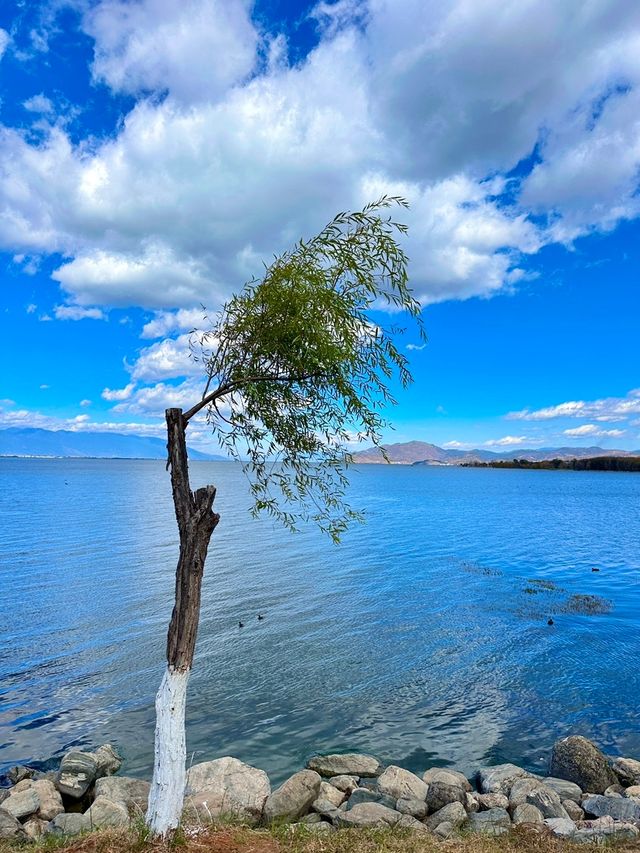 秋日洱海風景區遊玩攻略。