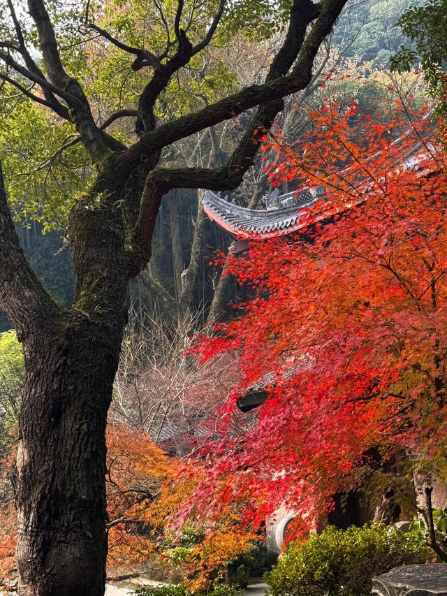 一份永福禪寺的旅遊攻略