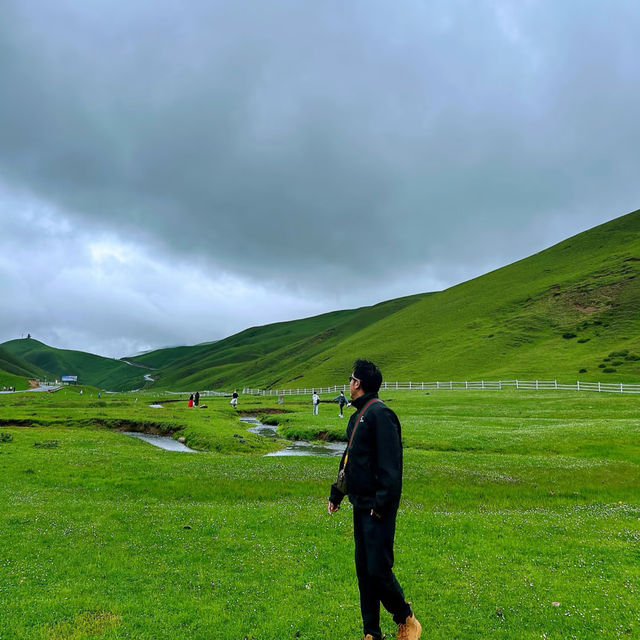 大海草山｜邂逅北緯26°的「新西蘭」