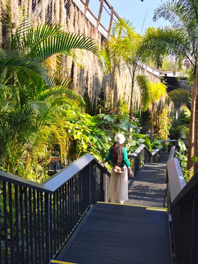 莫奈花園之雲蘿植物園