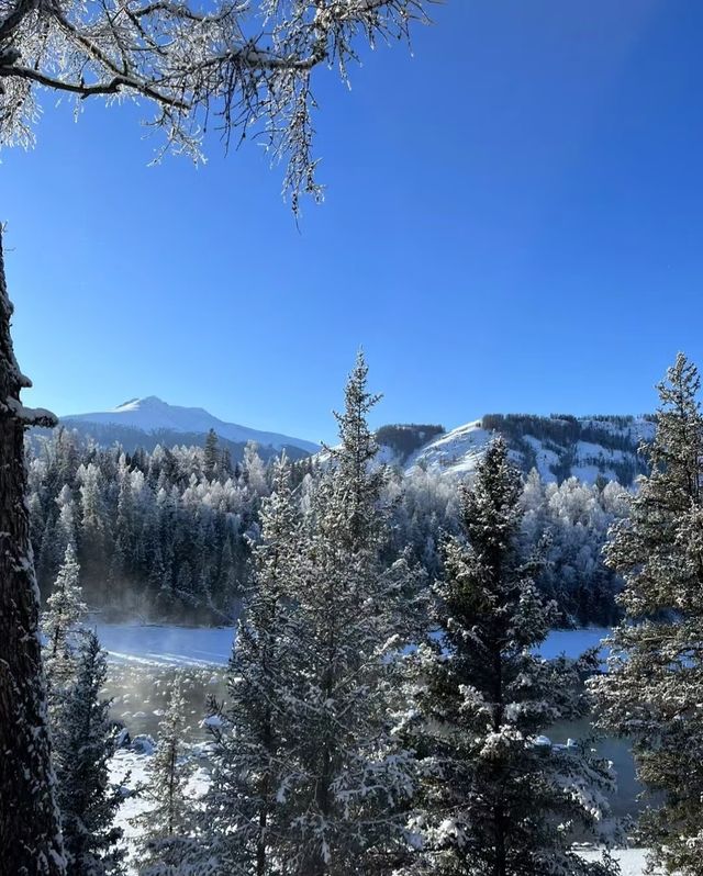 冬日喀納斯，夢幻雪國等你來