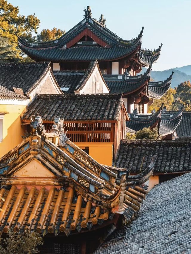 寧波天童寺 |五山十剎的靜謐之地