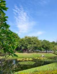 城市裏的濕地調節器，白雲湖公園