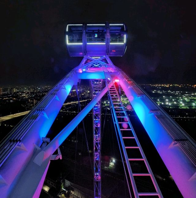 Singapore Flyer: City Lights Beneath the Starry Sky