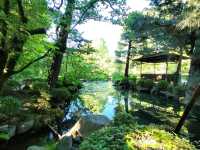 夏旅は京都へ行こう💠平安神宮『神苑』へ平安トリップ