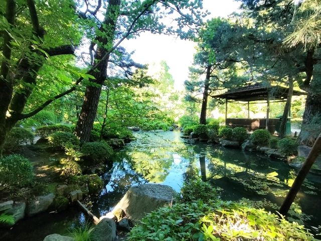 夏旅は京都へ行こう💠平安神宮『神苑』へ平安トリップ