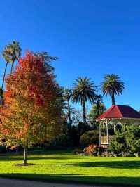 Albury Botanic Gardens